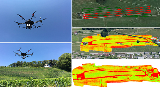 A drone is monitoring a vineyard