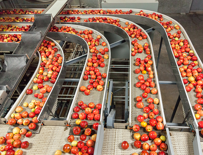Embedded vision systems enable fully automated quality control, sorting, and portioning in the food industry