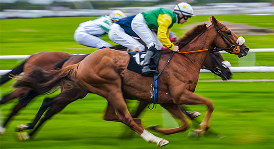 Racehorses crossing the finish line – fast motion sequences for precise line tracking and photo finish analysis