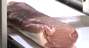 High-speed meat slicer